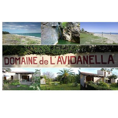 Apartamento Domaine De L'Avidanella Santa-Lucia-di-Moriani Exterior foto