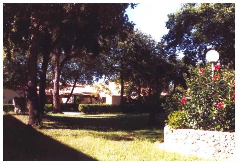 Apartamento Domaine De L'Avidanella Santa-Lucia-di-Moriani Exterior foto