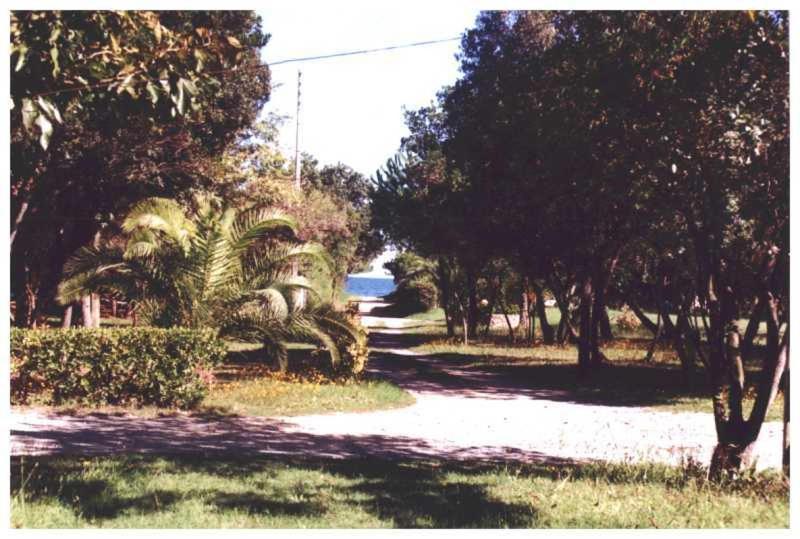 Apartamento Domaine De L'Avidanella Santa-Lucia-di-Moriani Exterior foto