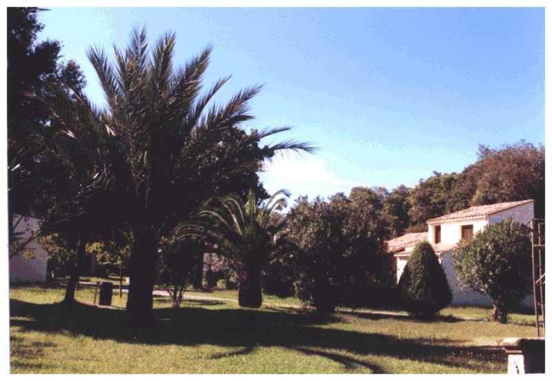 Apartamento Domaine De L'Avidanella Santa-Lucia-di-Moriani Exterior foto