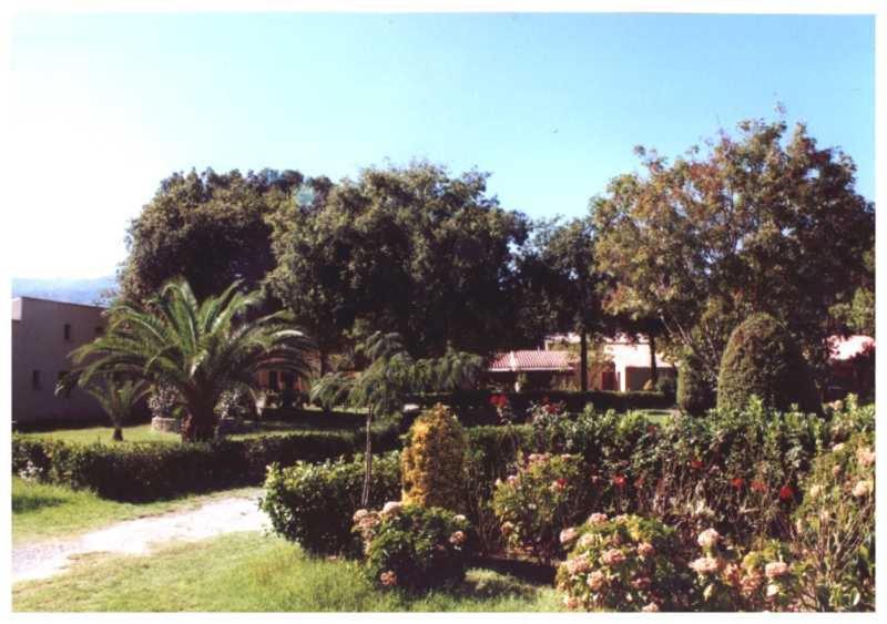 Apartamento Domaine De L'Avidanella Santa-Lucia-di-Moriani Exterior foto