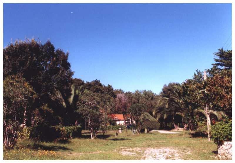 Apartamento Domaine De L'Avidanella Santa-Lucia-di-Moriani Exterior foto