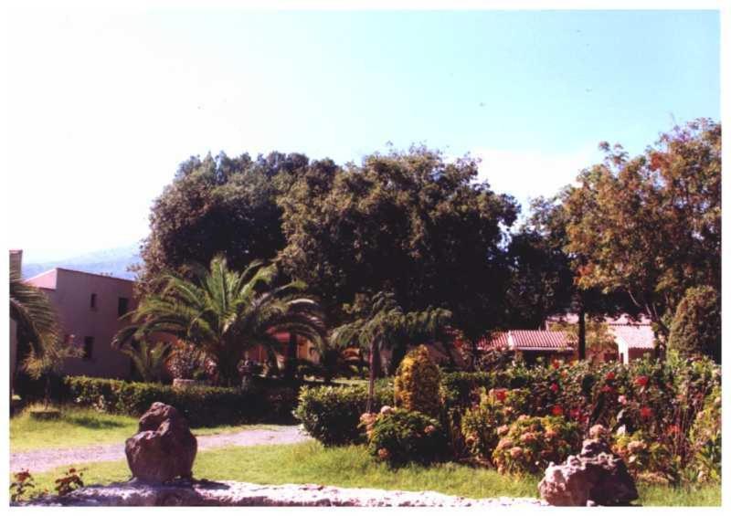 Apartamento Domaine De L'Avidanella Santa-Lucia-di-Moriani Exterior foto