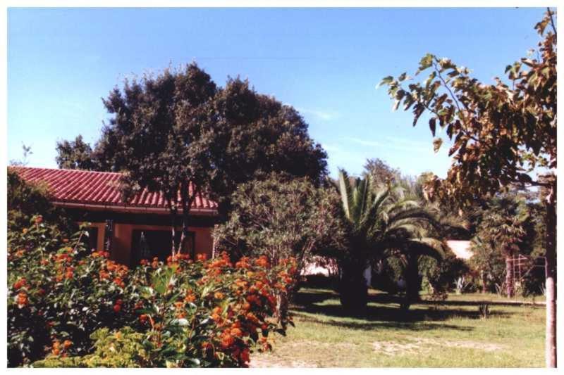 Apartamento Domaine De L'Avidanella Santa-Lucia-di-Moriani Exterior foto