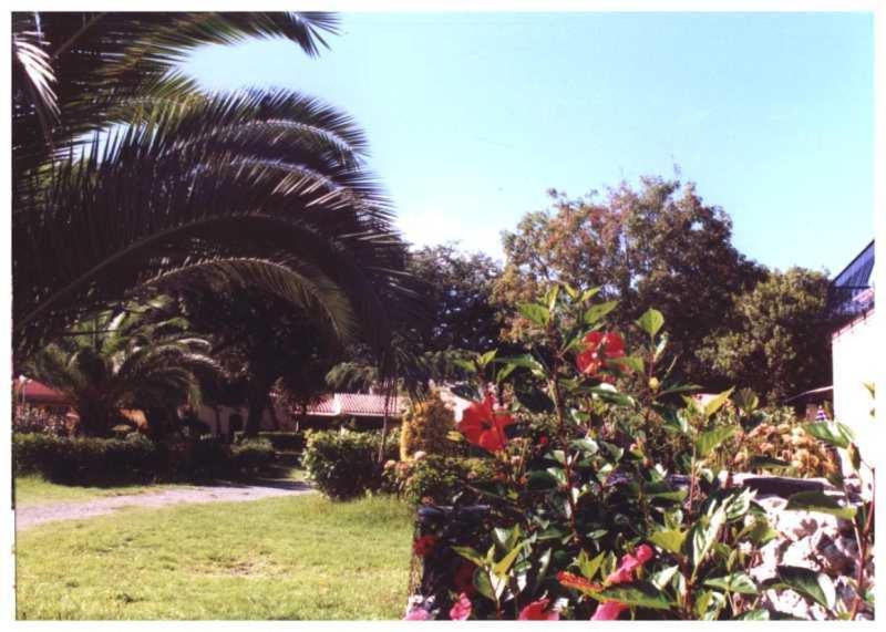 Apartamento Domaine De L'Avidanella Santa-Lucia-di-Moriani Exterior foto