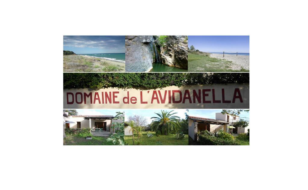Apartamento Domaine De L'Avidanella Santa-Lucia-di-Moriani Exterior foto
